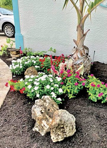 Love summer gardening